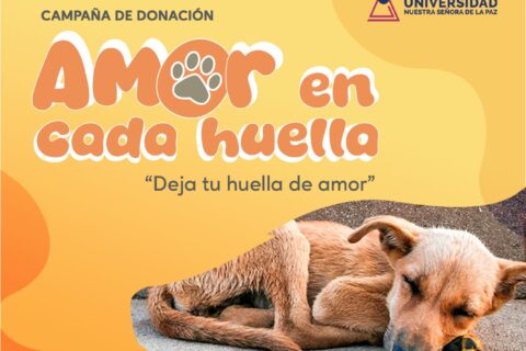 amor_en_cada_huella
